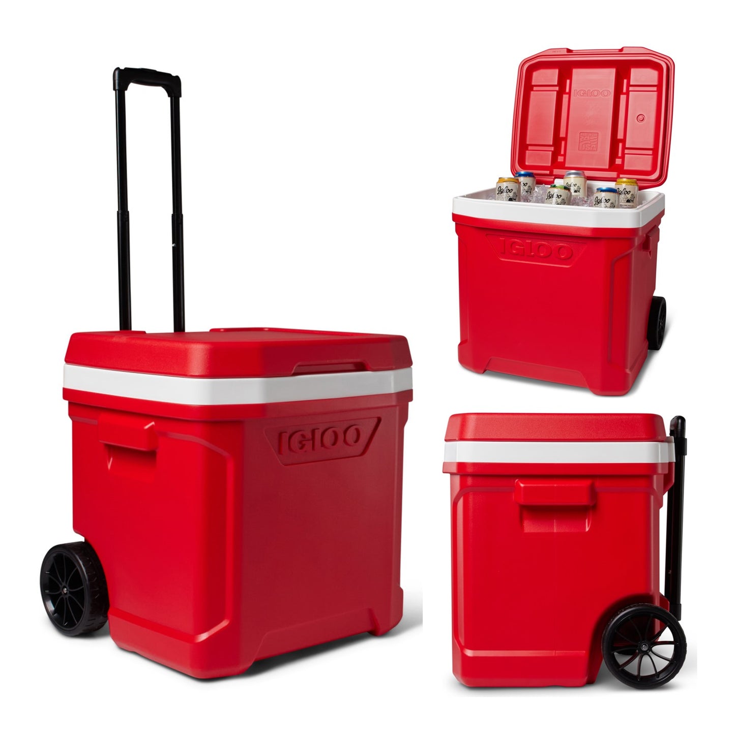 Igloo® Profile II 60 Qt Roller Cooler